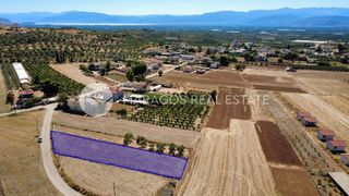 Οικόπεδο 1.300 τ.μ. για πώληση, Αργολίδα, Μιδέα-thumb-6