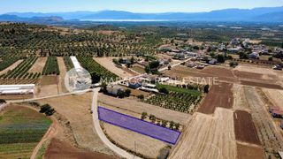 Οικόπεδο 1.300 τ.μ. για πώληση, Αργολίδα, Μιδέα-thumb-8