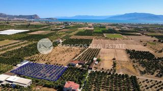 Οικόπεδο 2.864 τ.μ. προς πώληση, Δαλαμανάρα-thumb-6