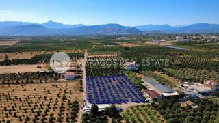 Οικόπεδο 2.864 τ.μ. προς πώληση, Δαλαμανάρα-thumb-9