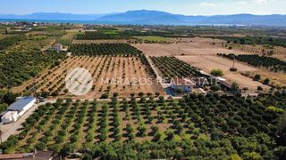 Οικόπεδο 2.864 τ.μ. προς πώληση, Δαλαμανάρα-thumb-13