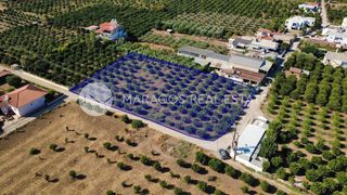 Οικόπεδο 2.864 τ.μ. προς πώληση, Δαλαμανάρα-thumb-2