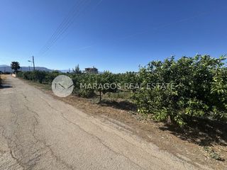 Οικόπεδο 2.864 τ.μ. προς πώληση, Δαλαμανάρα-thumb-21