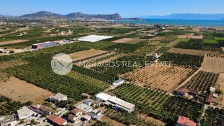 Οικόπεδο 2.864 τ.μ. προς πώληση, Δαλαμανάρα-thumb-16