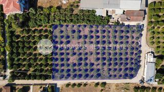Οικόπεδο 2.864 τ.μ. προς πώληση, Δαλαμανάρα-thumb-4