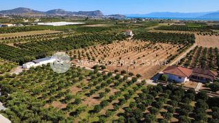 Οικόπεδο 2.864 τ.μ. προς πώληση, Δαλαμανάρα-thumb-12