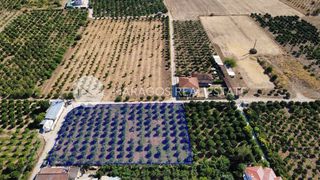 Οικόπεδο 2.864 τ.μ. προς πώληση, Δαλαμανάρα-thumb-5
