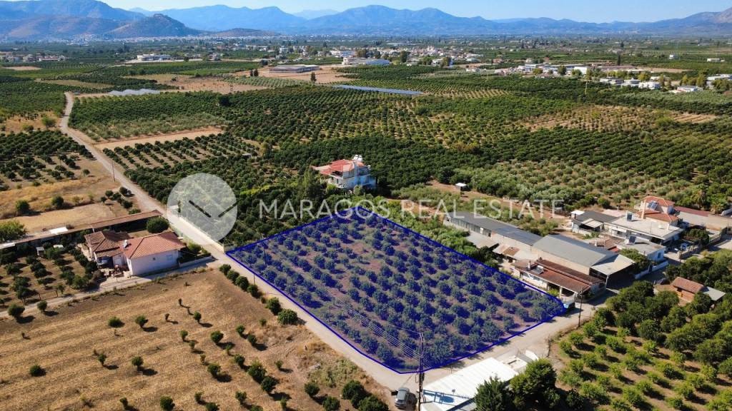 Οικόπεδο 2.864 τ.μ. προς πώληση, Δαλαμανάρα