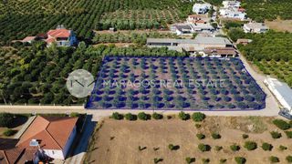 Οικόπεδο 2.864 τ.μ. προς πώληση, Δαλαμανάρα-thumb-1