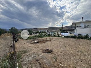 Οικόπεδο 225 τ.μ. για πώληση, Αργολίδα, Άργος-thumb-24