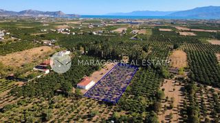 Οικόπεδο 4.000 τ.μ. για πώληση, Αργολίδα, Άργος-thumb-7