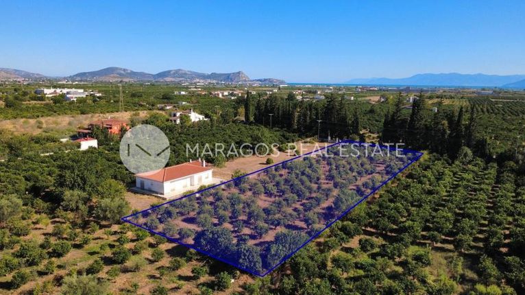 Οικόπεδο 4.000 τ.μ. για πώληση, Αργολίδα, Άργος