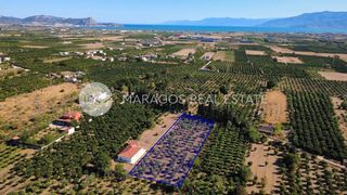 Οικόπεδο 4.000 τ.μ. για πώληση, Αργολίδα, Άργος-thumb-1
