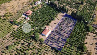 Οικόπεδο 4.000 τ.μ. για πώληση, Αργολίδα, Άργος-thumb-13