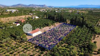 Οικόπεδο 4.000 τ.μ. για πώληση, Αργολίδα, Άργος-thumb-5