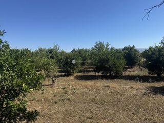 Οικόπεδο 4.000 τ.μ. για πώληση, Αργολίδα, Άργος-thumb-16