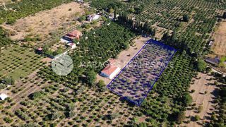 Οικόπεδο 4.000 τ.μ. για πώληση, Αργολίδα, Άργος-thumb-11