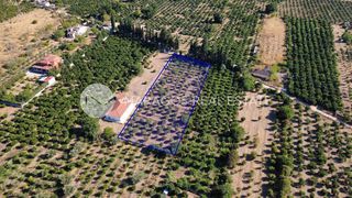 Οικόπεδο 4.000 τ.μ. για πώληση, Αργολίδα, Άργος-thumb-12