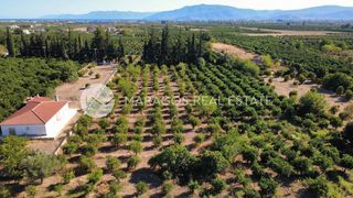 Οικόπεδο 4.000 τ.μ. για πώληση, Αργολίδα, Άργος-thumb-17