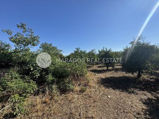 Οικόπεδο 4.000 τ.μ. για πώληση, Αργολίδα, Άργος-thumb-21