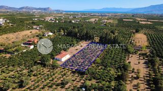 Οικόπεδο 4.000 τ.μ. για πώληση, Αργολίδα, Άργος-thumb-9