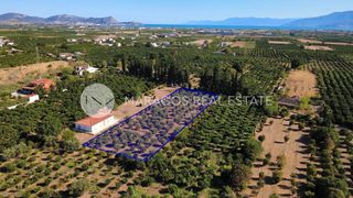 Οικόπεδο 4.000 τ.μ. για πώληση, Αργολίδα, Άργος-thumb-10