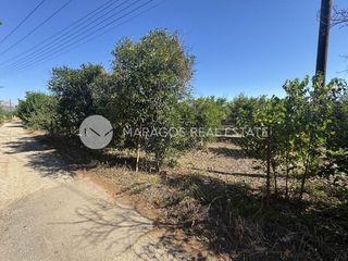 Οικόπεδο 4.000 τ.μ. για πώληση, Αργολίδα, Άργος-thumb-15