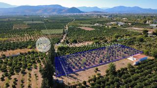 Οικόπεδο 4.000 τ.μ. για πώληση, Αργολίδα, Άργος-thumb-4