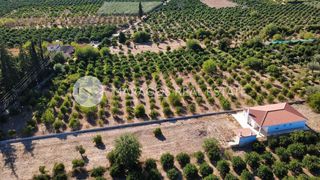 Οικόπεδο 4.000 τ.μ. για πώληση, Αργολίδα, Άργος-thumb-22