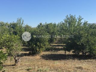 Οικόπεδο 4.000 τ.μ. για πώληση, Αργολίδα, Άργος-thumb-23