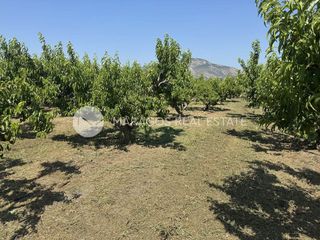 Αγροτεμάχια 13.800 τ.μ. για πώληση, Αργολίδα, Άργος-thumb-6