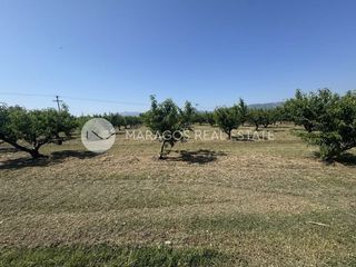 Αγροτεμάχια 13.800 τ.μ. για πώληση, Αργολίδα, Άργος-thumb-10