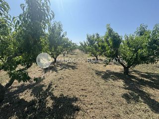 Αγροτεμάχια 13.800 τ.μ. για πώληση, Αργολίδα, Άργος-thumb-3