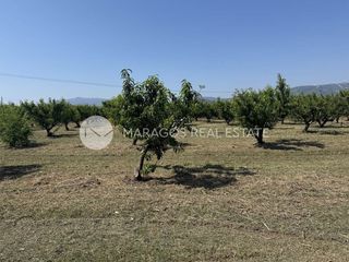 Αγροτεμάχια 13.800 τ.μ. για πώληση, Αργολίδα, Άργος-thumb-19