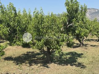 Αγροτεμάχια 13.800 τ.μ. για πώληση, Αργολίδα, Άργος-thumb-7
