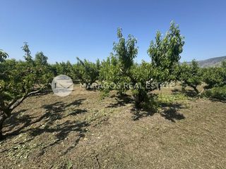 Αγροτεμάχια 13.800 τ.μ. για πώληση, Αργολίδα, Άργος-thumb-12