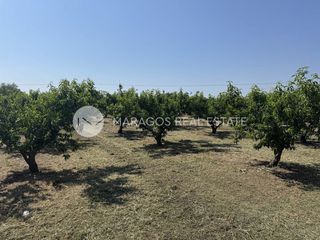 Αγροτεμάχια 13.800 τ.μ. για πώληση, Αργολίδα, Άργος-thumb-8