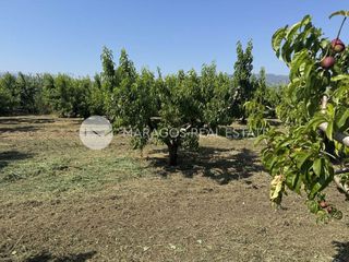 Αγροτεμάχια 13.800 τ.μ. για πώληση, Αργολίδα, Άργος-thumb-9