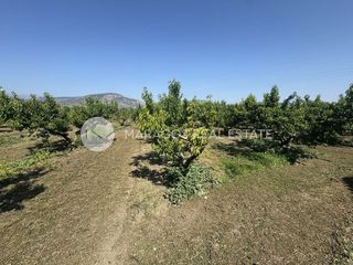 Αγροτεμάχια 13.800 τ.μ. για πώληση, Αργολίδα, Άργος-thumb-4
