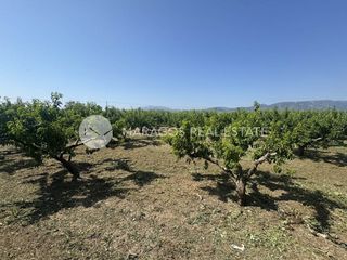 Αγροτεμάχια 13.800 τ.μ. για πώληση, Αργολίδα, Άργος-thumb-14
