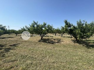 Αγροτεμάχια 13.800 τ.μ. για πώληση, Αργολίδα, Άργος-thumb-2