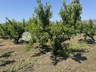 Αγροτεμάχια 13.800 τ.μ. για πώληση, Αργολίδα, Άργος-thumb-11