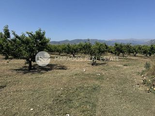 Αγροτεμάχια 13.800 τ.μ. για πώληση, Αργολίδα, Άργος-thumb-13