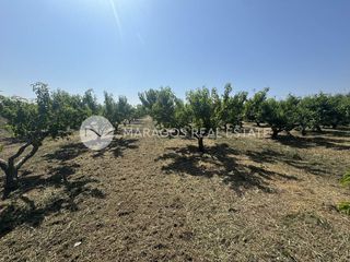 Αγροτεμάχια 13.800 τ.μ. για πώληση, Αργολίδα, Άργος-thumb-5