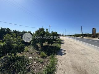 Οικόπεδο 10.000 τ.μ. για πώληση, Αργολίδα, Άργος-thumb-3