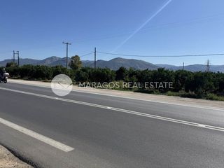 Οικόπεδο 10.000 τ.μ. για πώληση, Αργολίδα, Άργος-thumb-10