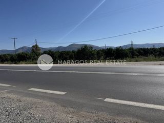 Οικόπεδο 10.000 τ.μ. για πώληση, Αργολίδα, Άργος-thumb-11