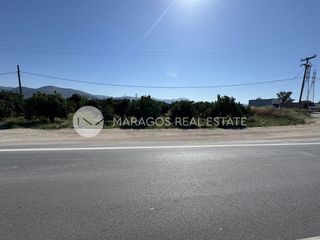 Οικόπεδο 10.000 τ.μ. για πώληση, Αργολίδα, Άργος-thumb-5