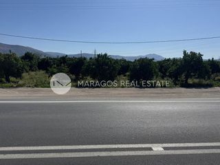 Οικόπεδο 10.000 τ.μ. για πώληση, Αργολίδα, Άργος-thumb-6