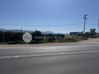 Οικόπεδο 10.000 τ.μ. για πώληση, Αργολίδα, Άργος-thumb-8
